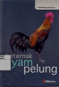 Beternak Ayam Pelung