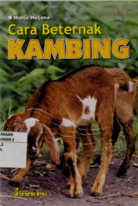 Cara Beternak Kambing