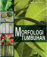 Morfologi Tumbuhan